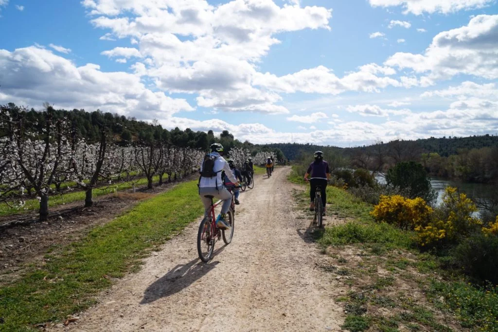 bici2