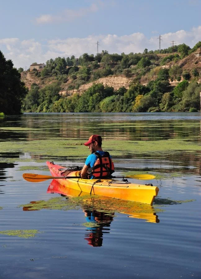 kayak