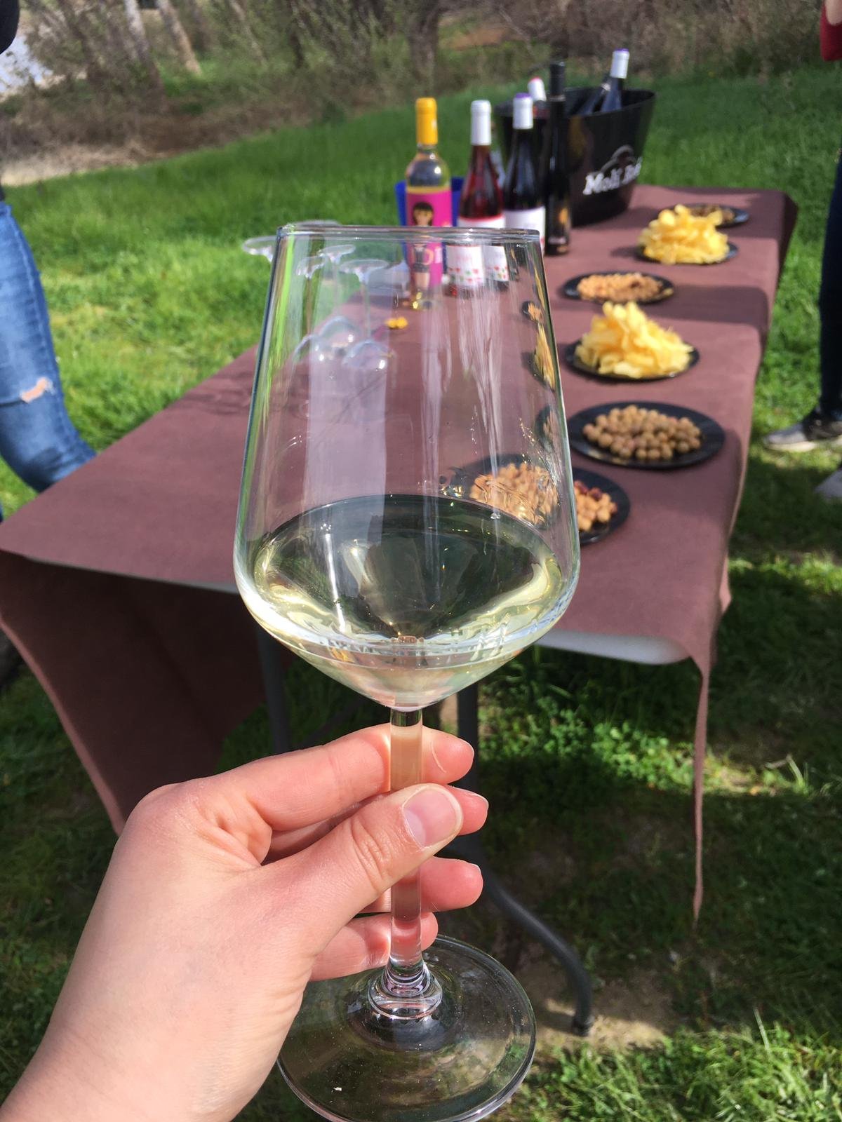 degustación vinos