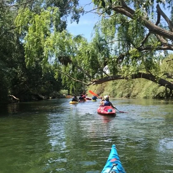 Kayak_slider_5